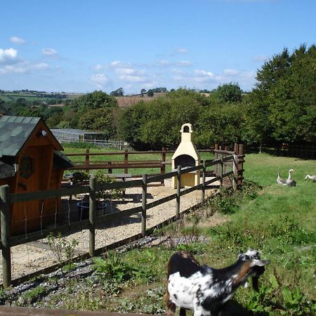 Greyfield Farm Cottages Farmborough Dış mekan fotoğraf